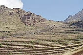 Urubamba Valley, spectacular terraces at Pisac